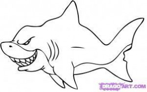 Cómo dibujar un tiburón TIBURONPEDIA